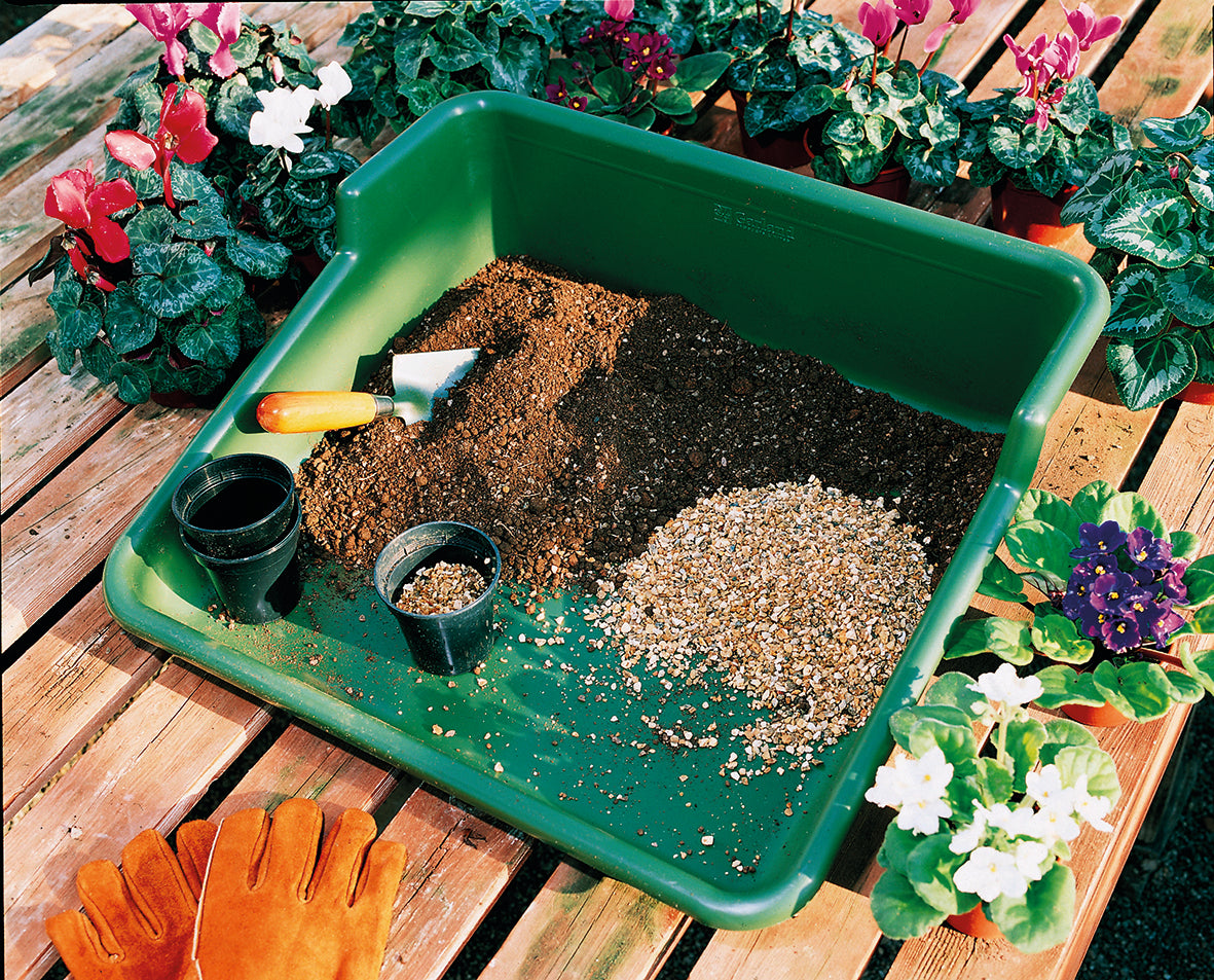 Green Tidy Tray