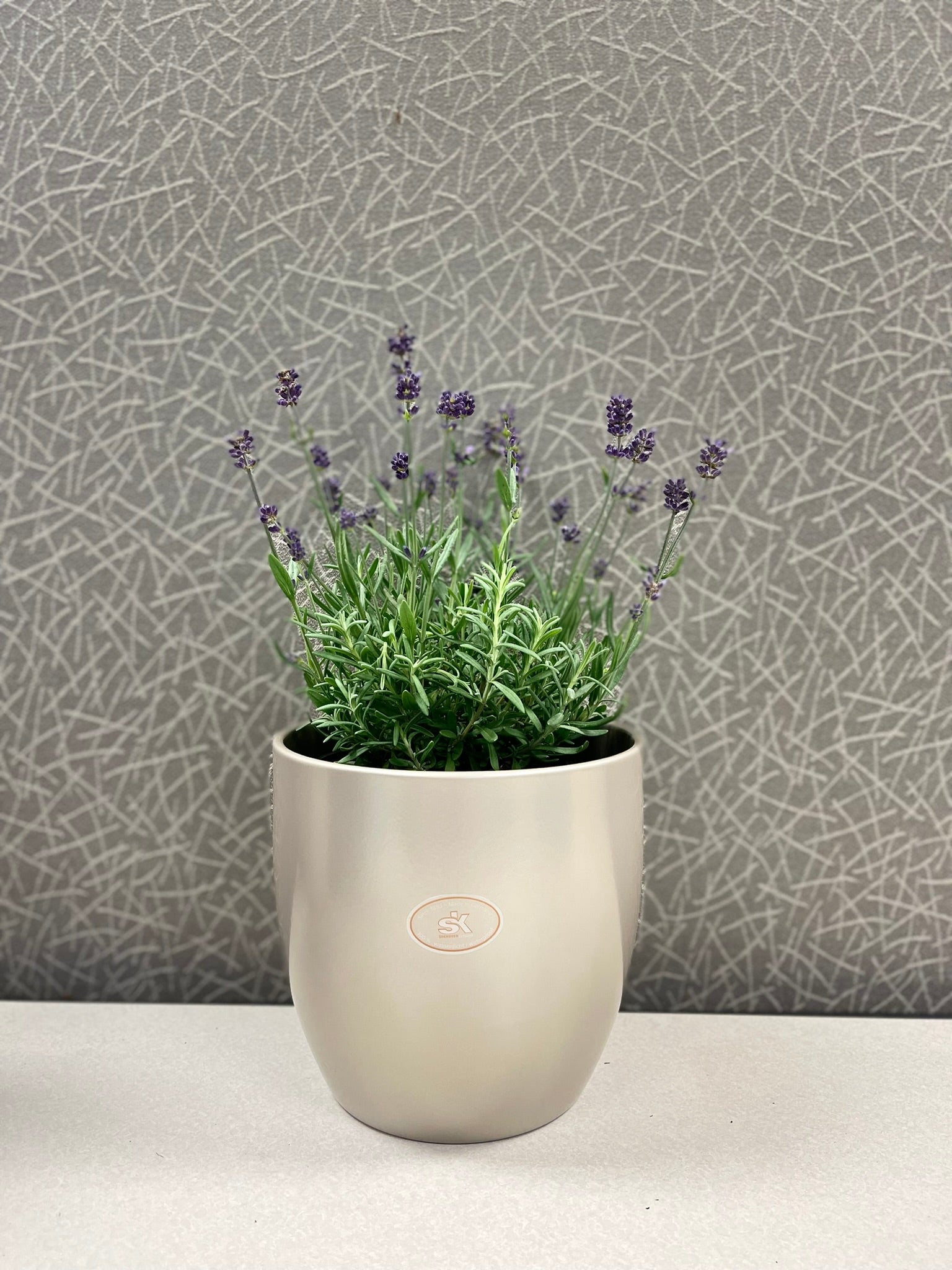 6.3" Gray Beige Metallic Ceramic Basel Elegance Pot