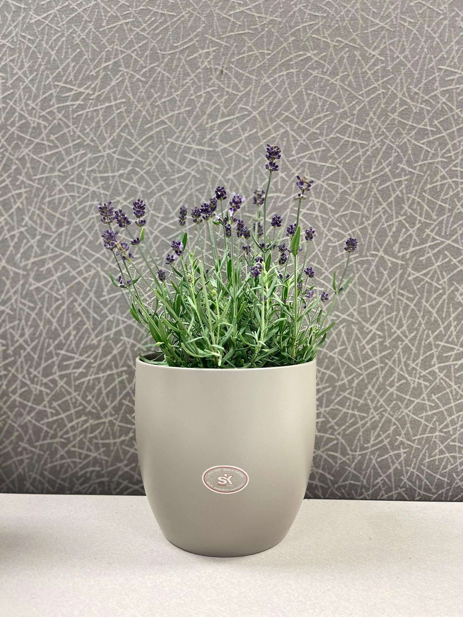 6.3" Matte Light Gray Ceramic Basel Fashion Pot