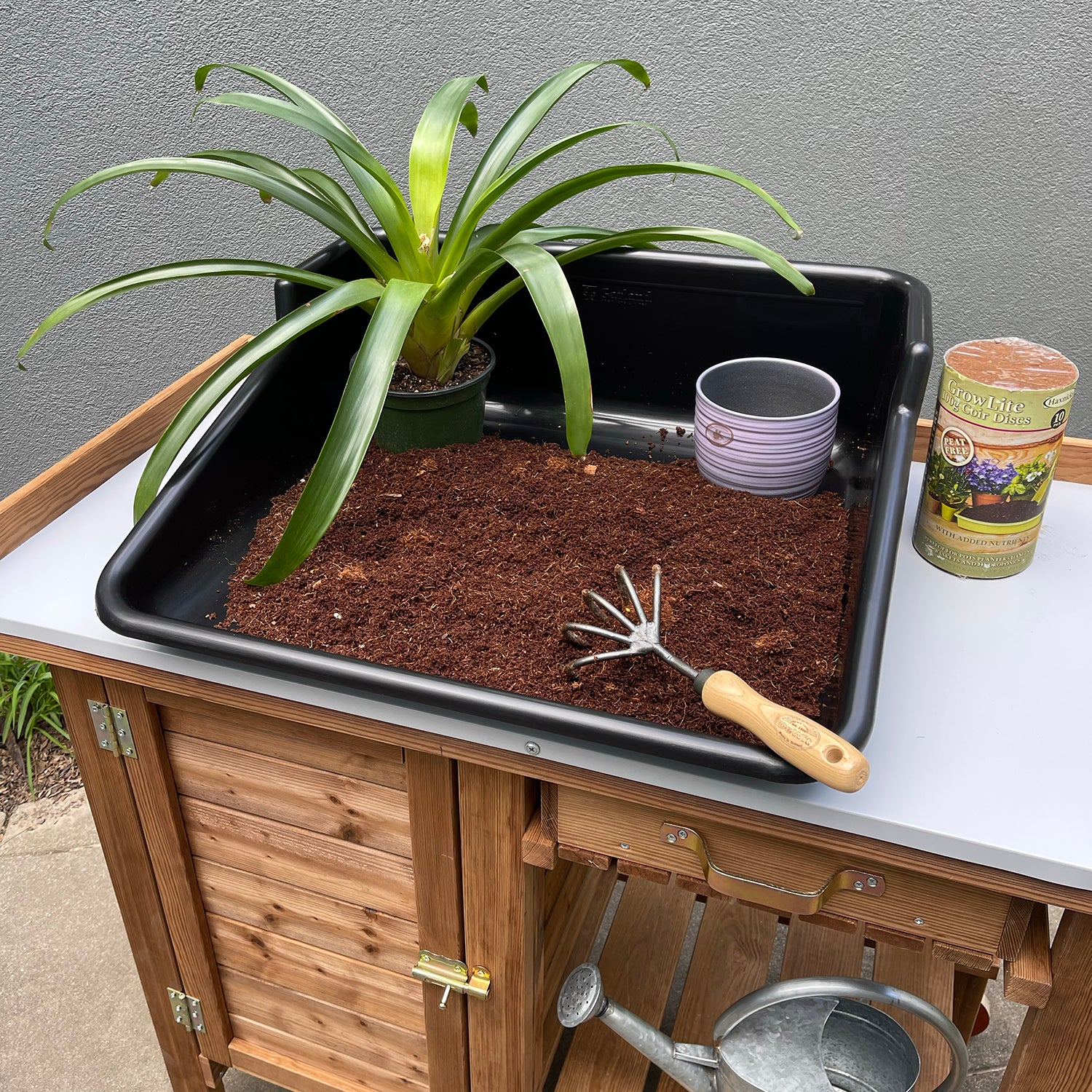 Black Tidy Tray