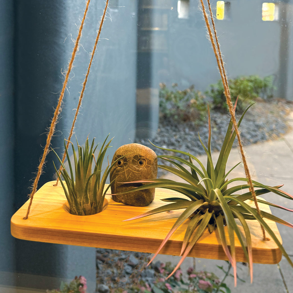 Air Plant Stands Kit with Stone Owl