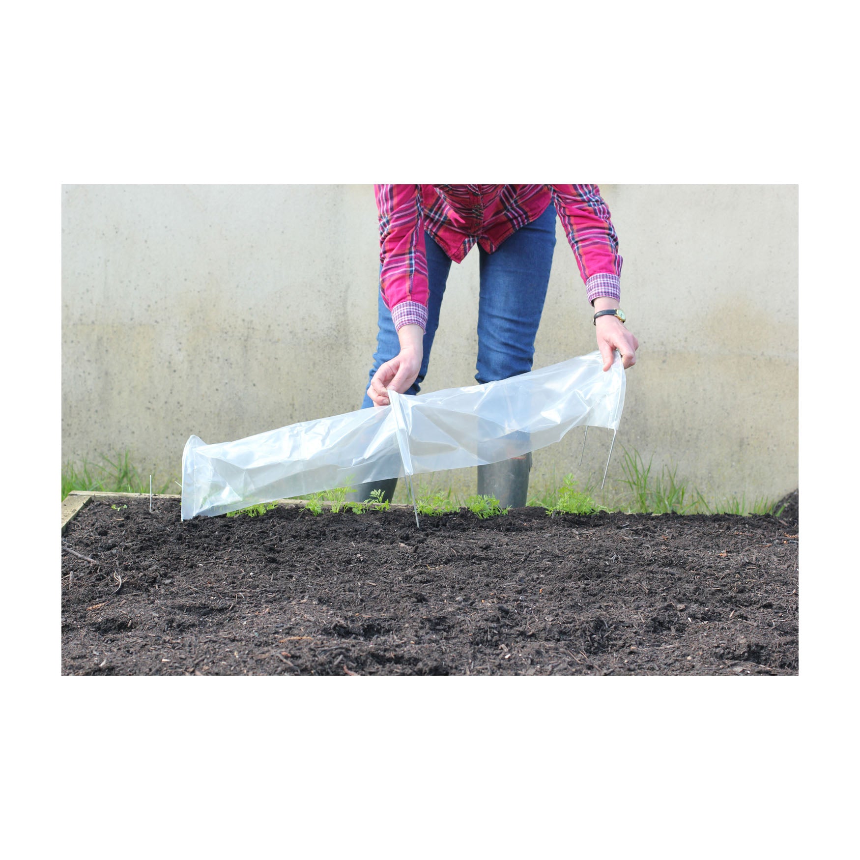 Easy Seedling Tunnel 3pk