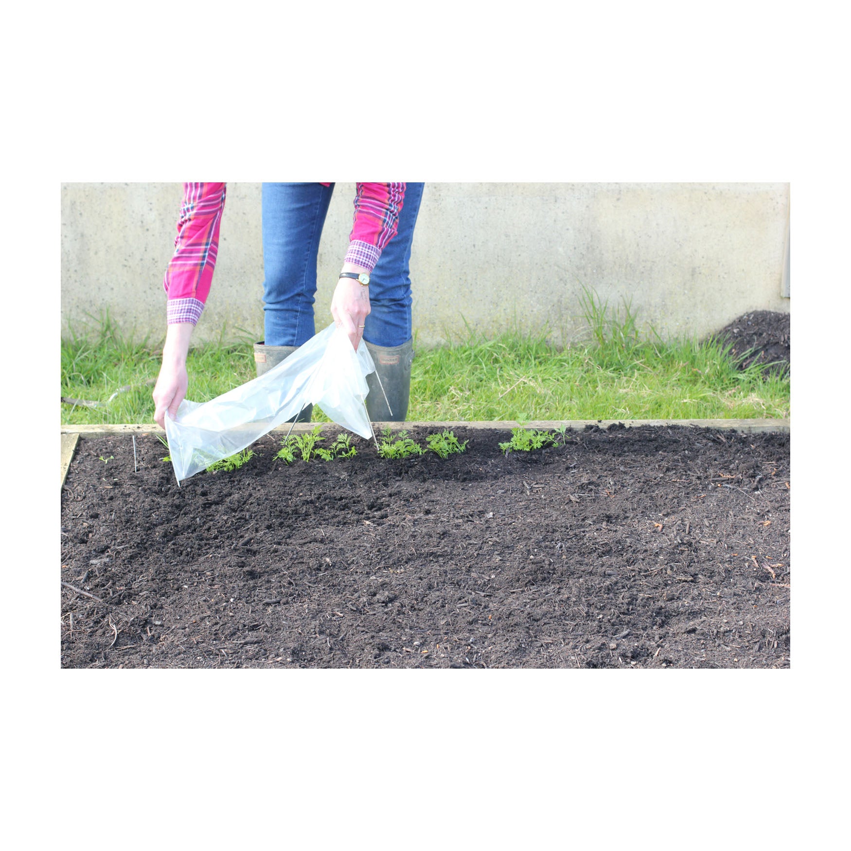 Easy Seedling Tunnel 3pk