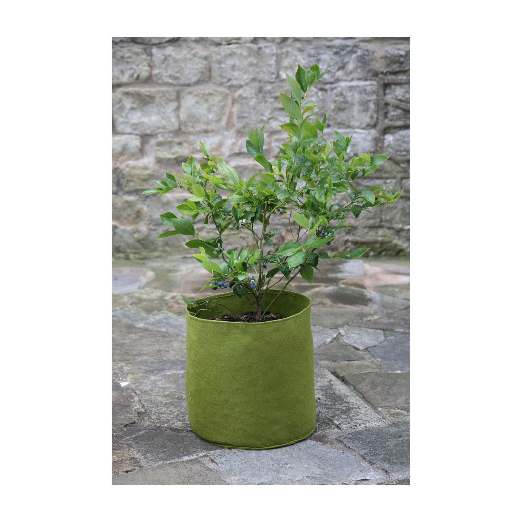2.6 Gal Vigoroot Pots 3pk
