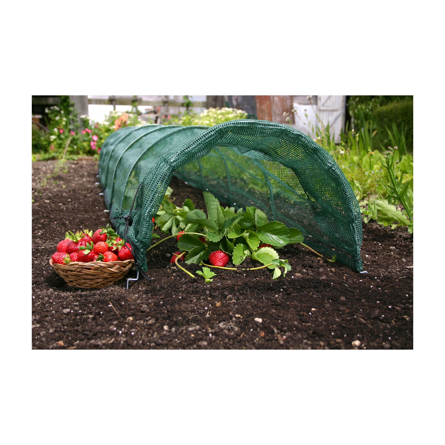 Giant Easy Net Tunnel