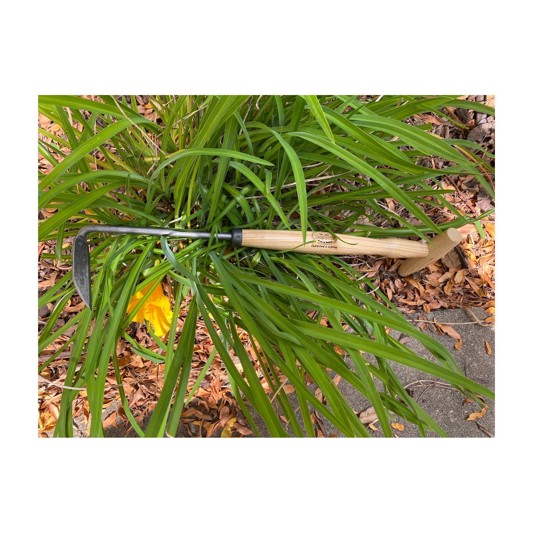 DeWit Weeder - Cape Cod Right Hand P-Grip
