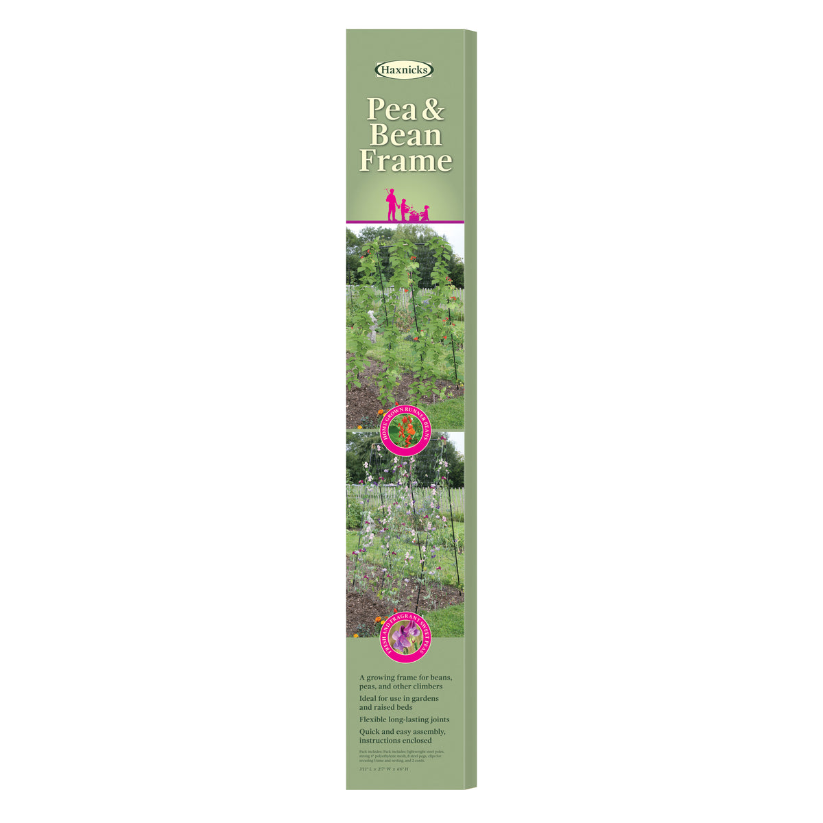 Pea & Bean Steel Frame