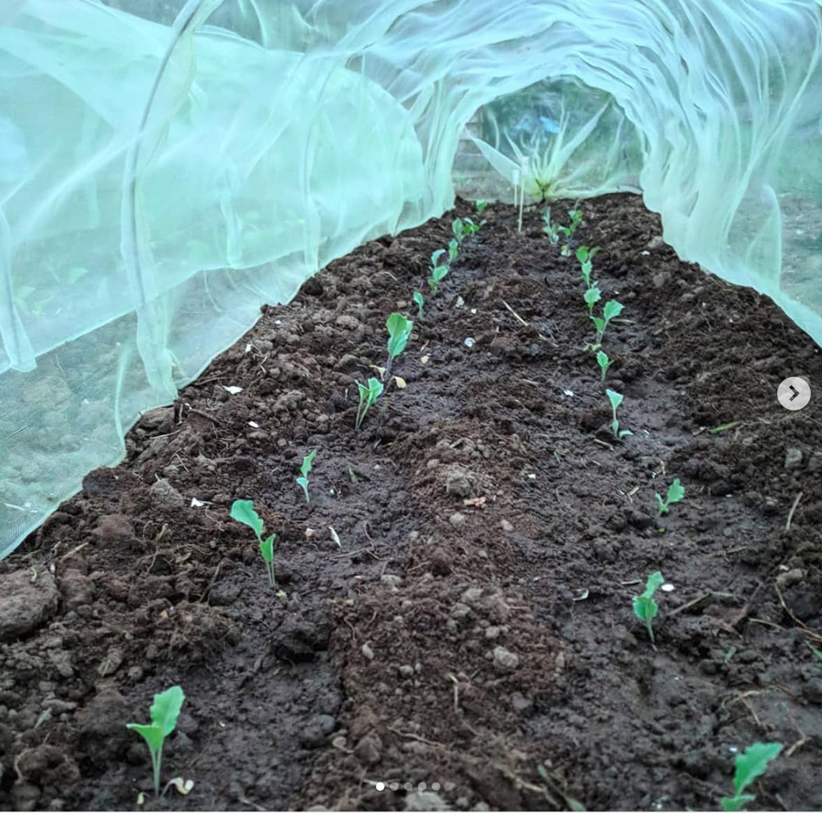 Giant Easy Micromesh Tunnel