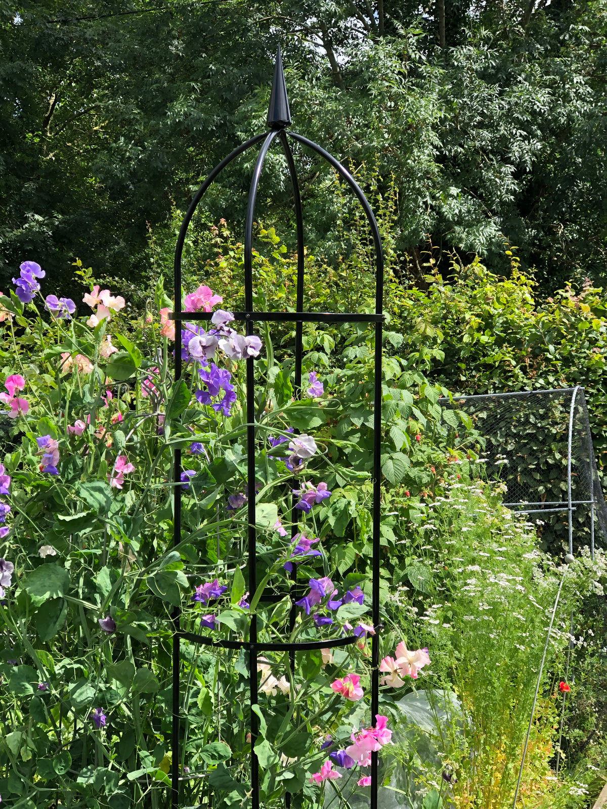 94.5" Obelisk RHS