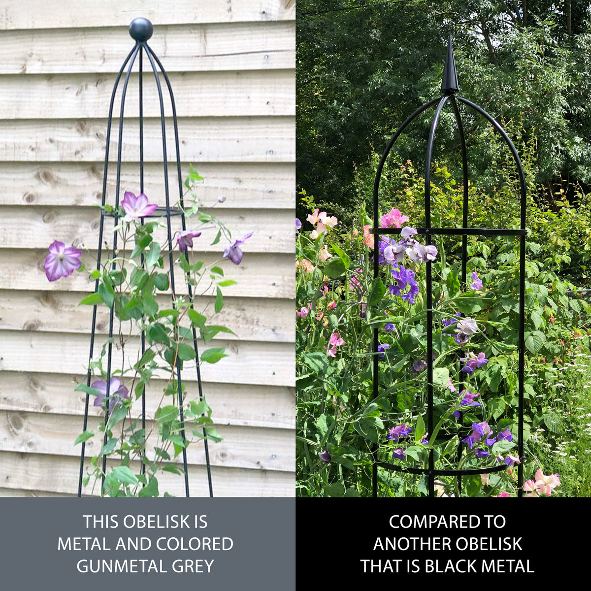 Queen Obelisk Classic RHS