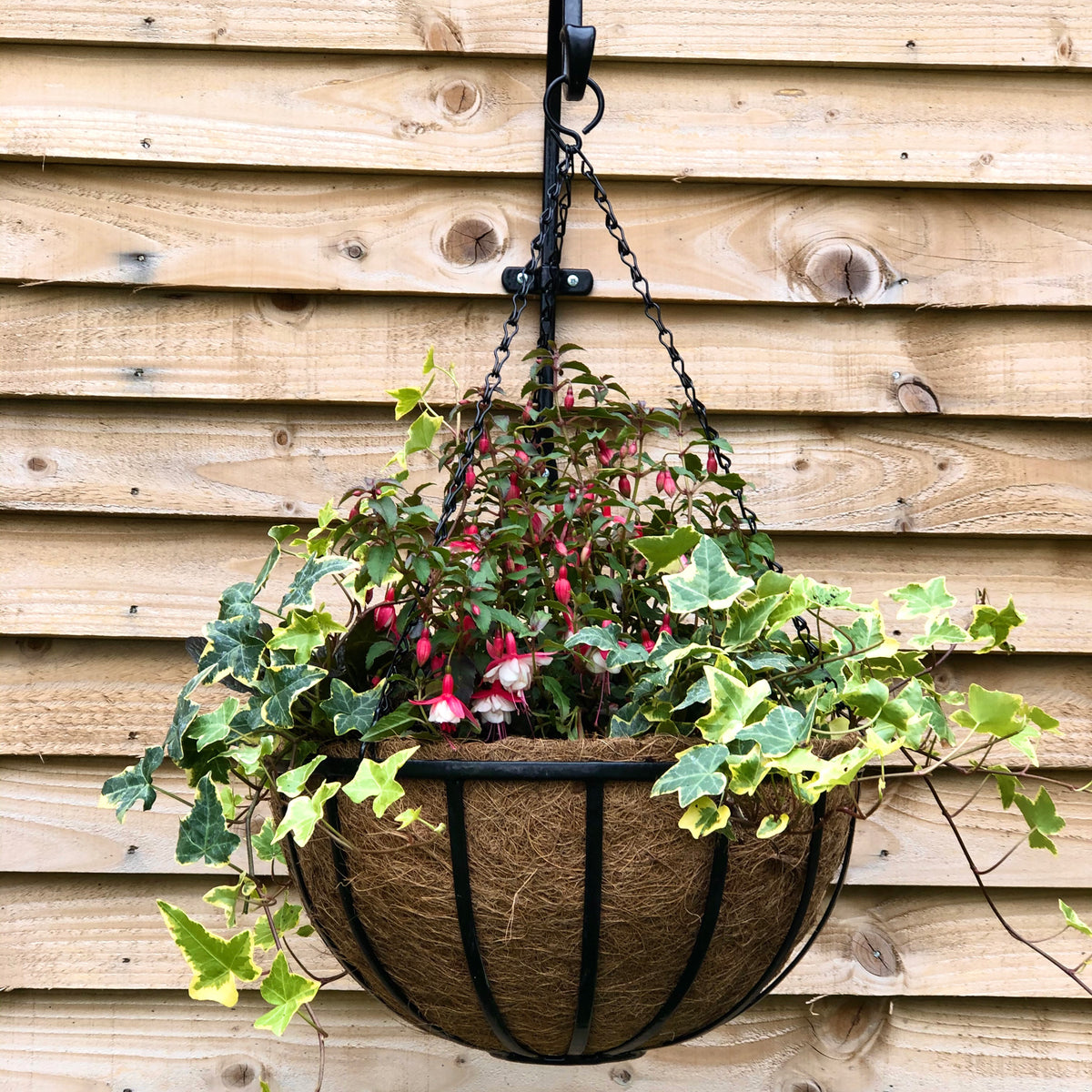 16" Preformed Coco Basket Liner RHS
