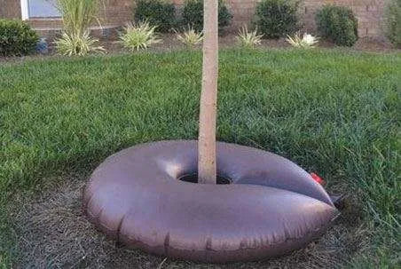 (DEWITT DEW RIGHT TREE WATERING DONUT) -