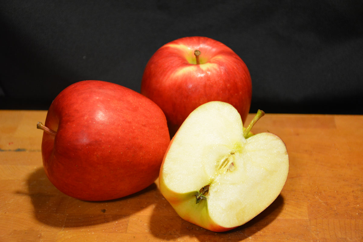 Ambrosia Apple (Malus &