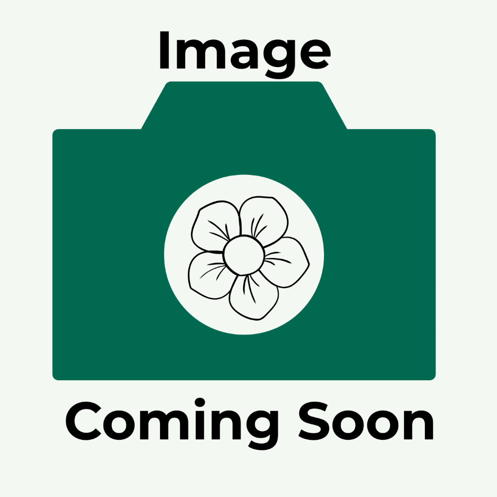 Product image coming soon