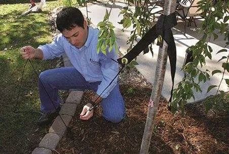 (DEWITT TREE SUPPORT STAKE KIT) -
