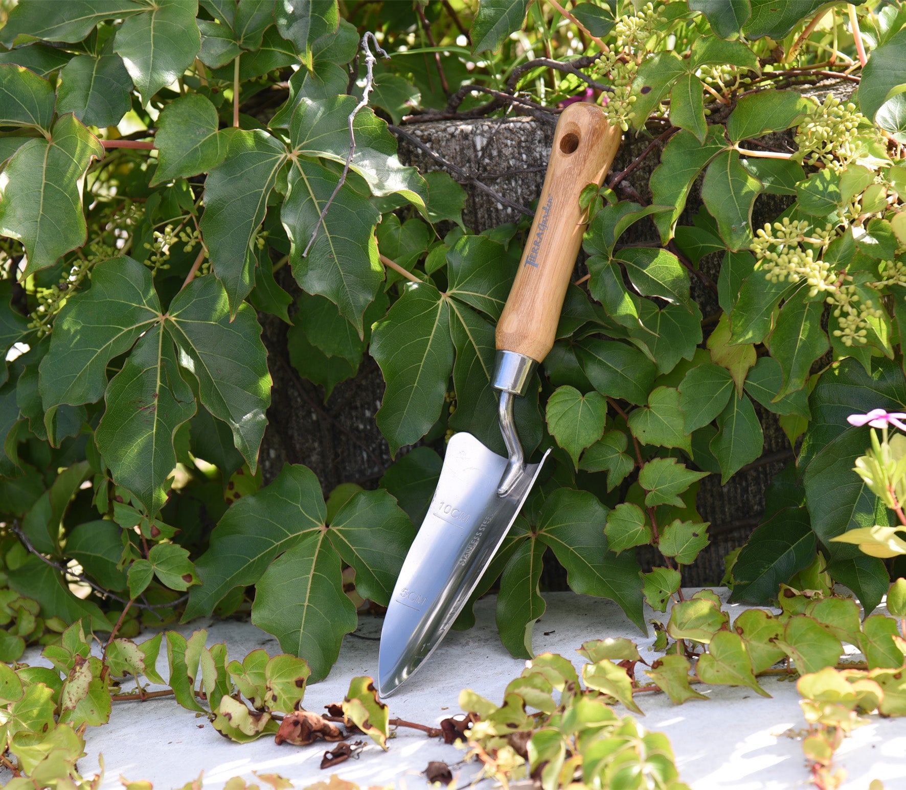 Green Tidy Tray with Stainless Steel Transplanter and Scoop