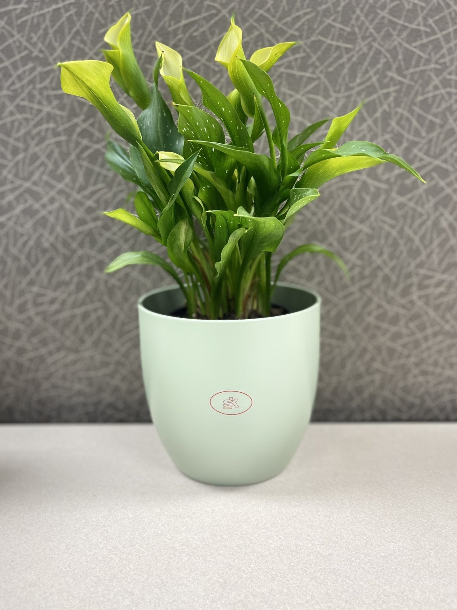 6.3" Matte Linden Green Ceramic Basel Fashion Pot