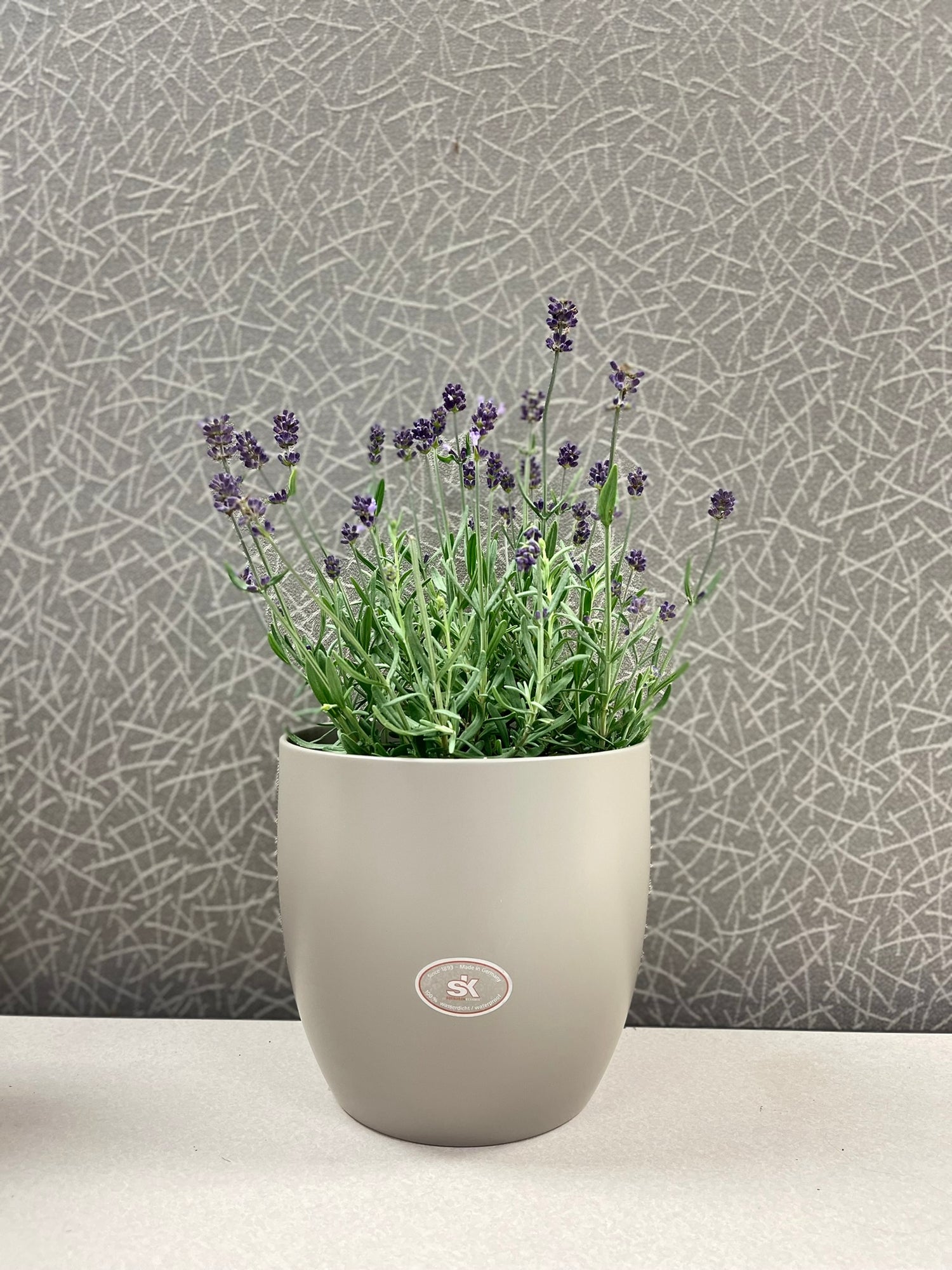 6.3" Matte Light Gray Ceramic Basel Fashion Pot