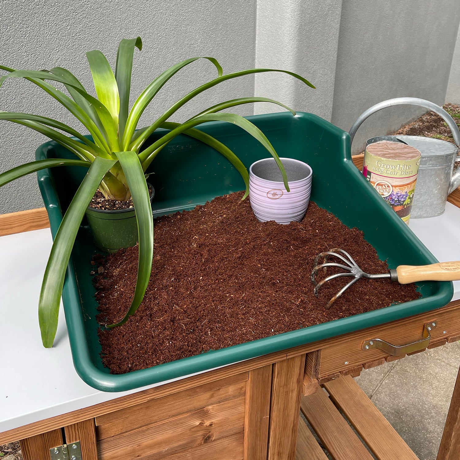 Green Tidy Tray