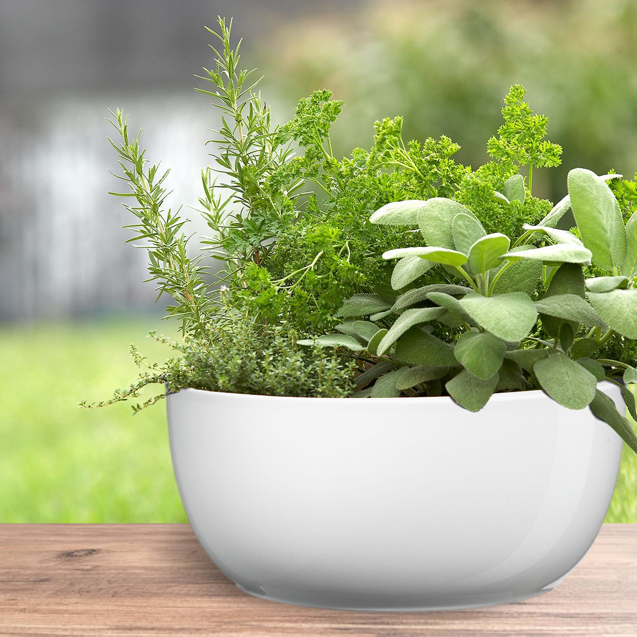 6.3" Shiny White Ceramic Basel Full Color Pot