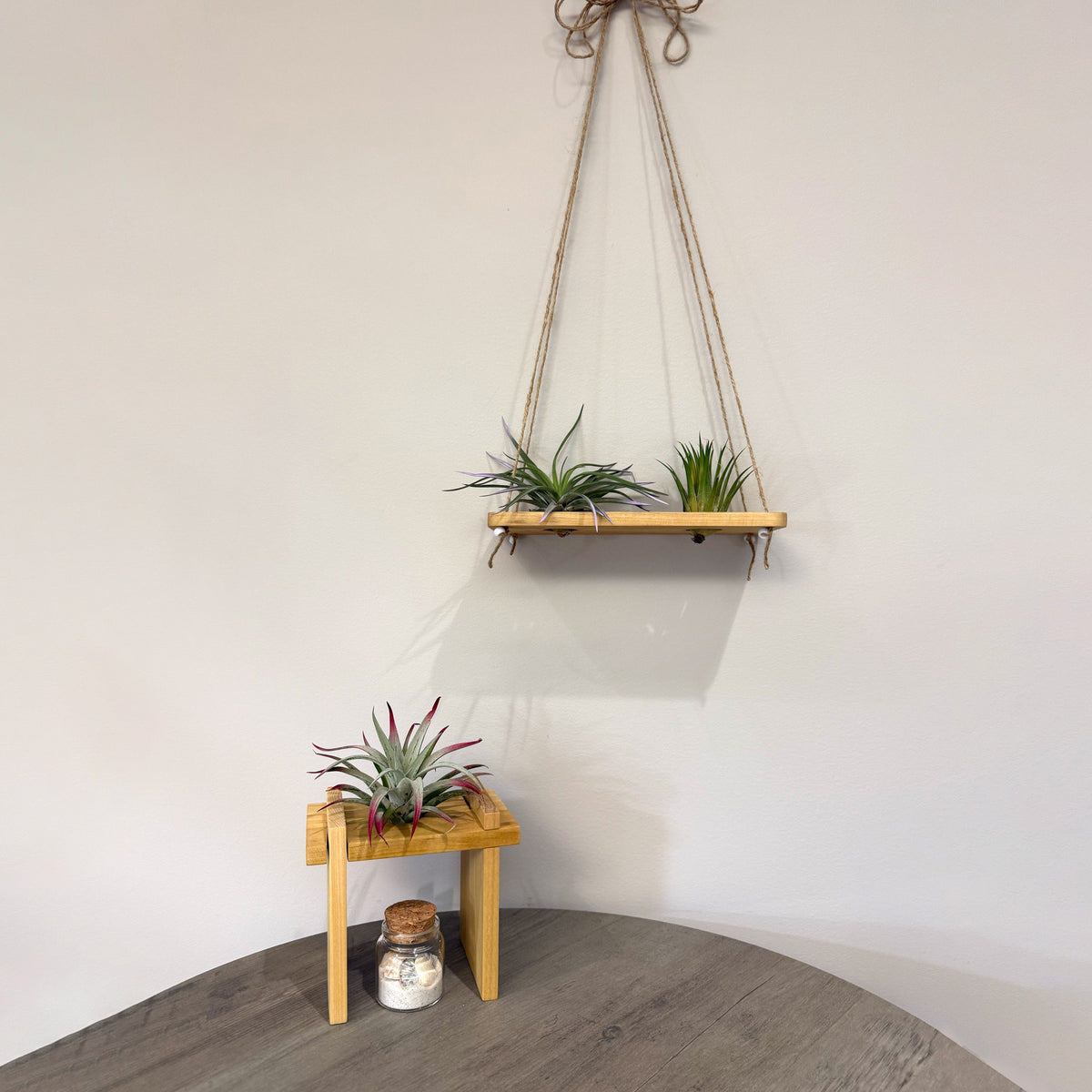 Air Plant Stands Kit