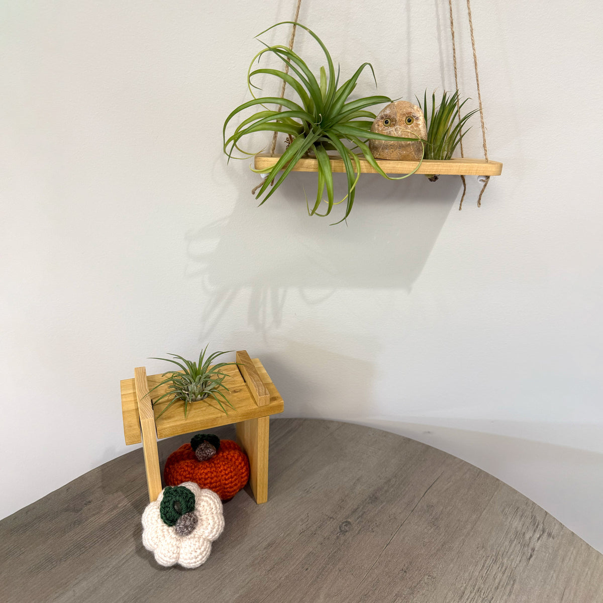 Air Plant Stands Kit with Stone Owl