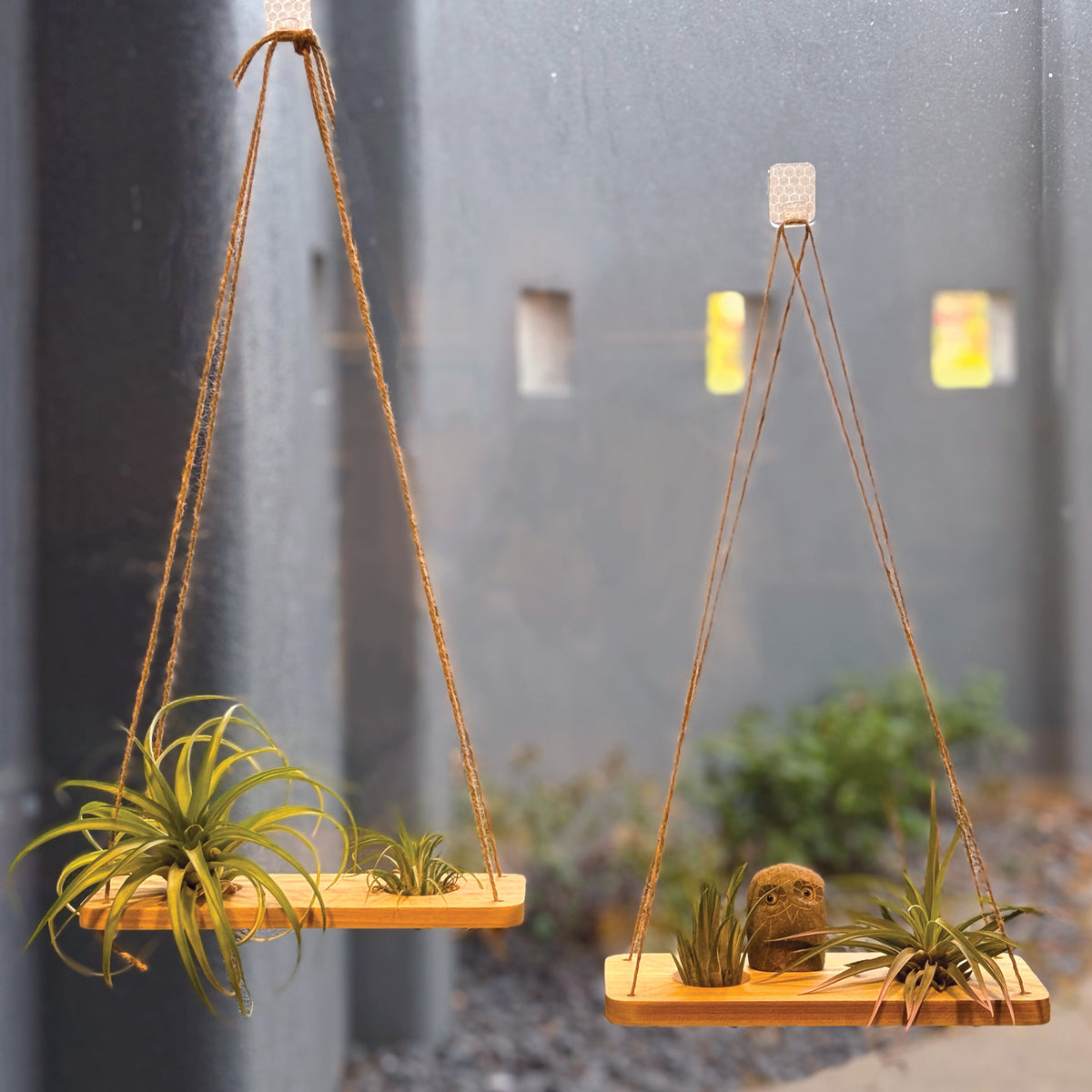 Double Air Plant Swing Set with Stone Owl