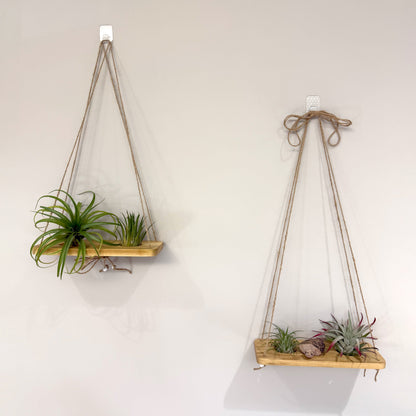 Double Air Plant Swing Set with Stone Turtle