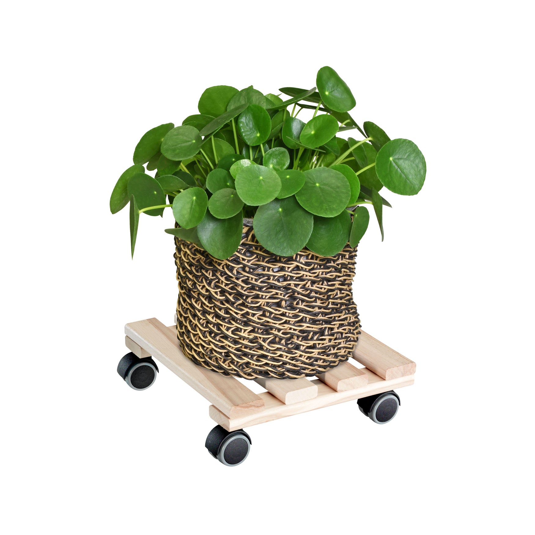 10" Natural Square Wooden Plant Caddy