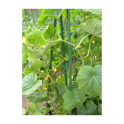 72" Metal Garden Stake