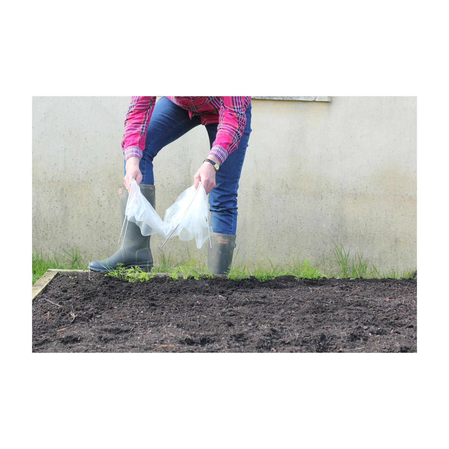 Easy Seedling Tunnel 3pk