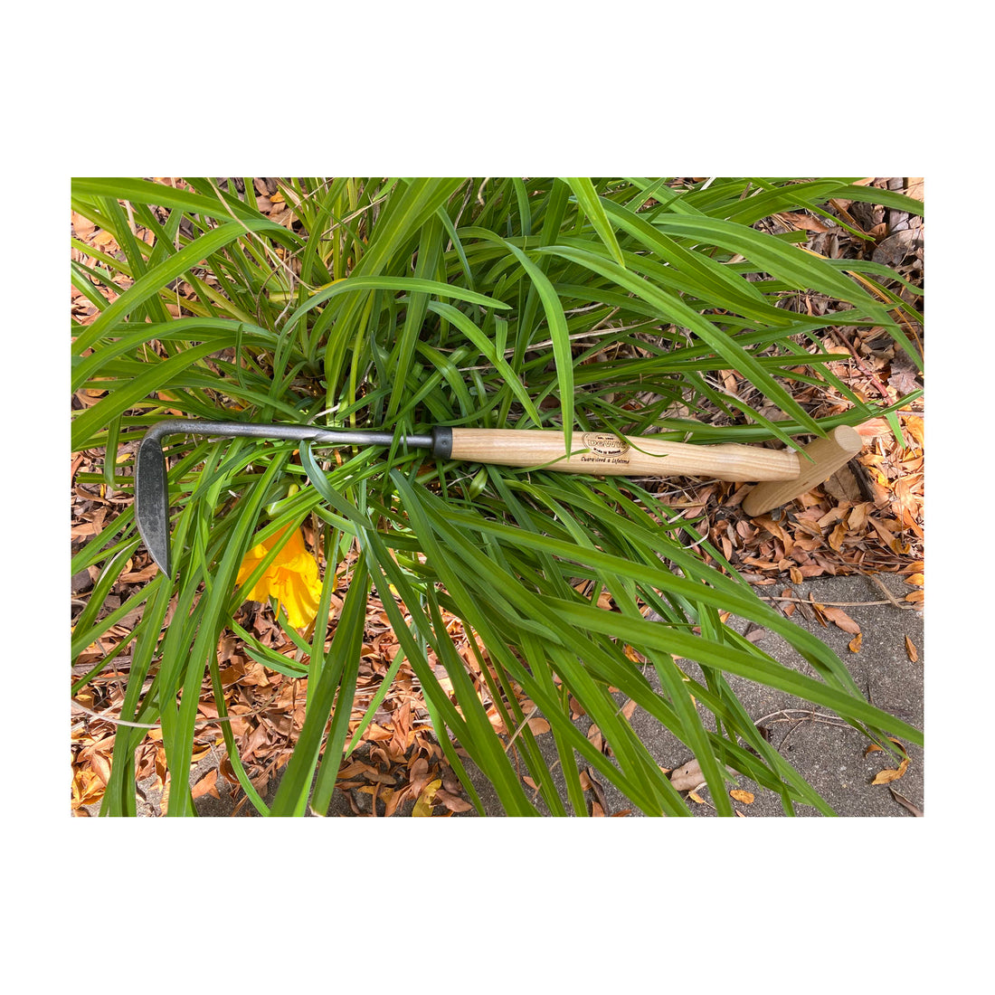 DeWit Weeder - Cape Cod Right Hand P-Grip