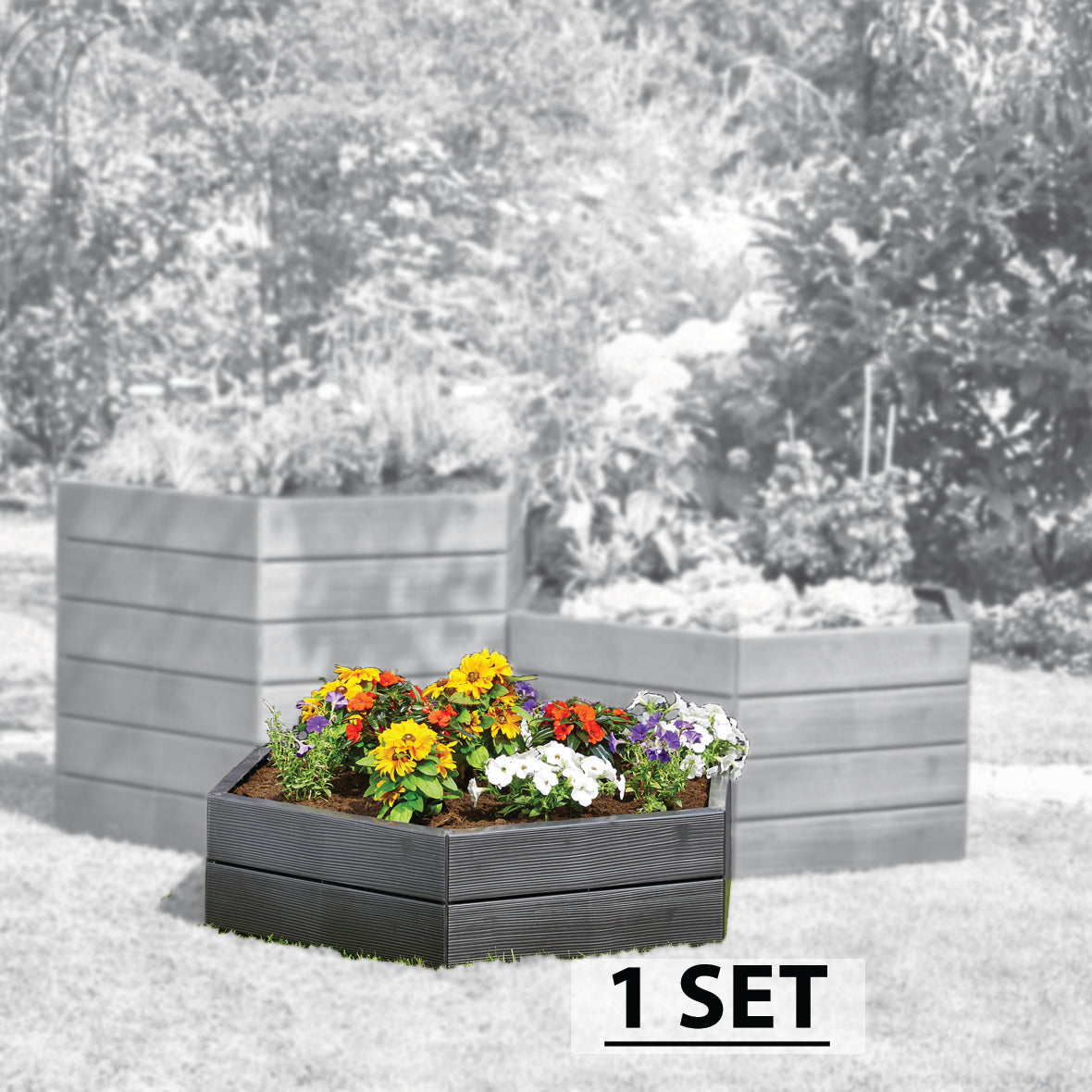 Ergo Raised Bed