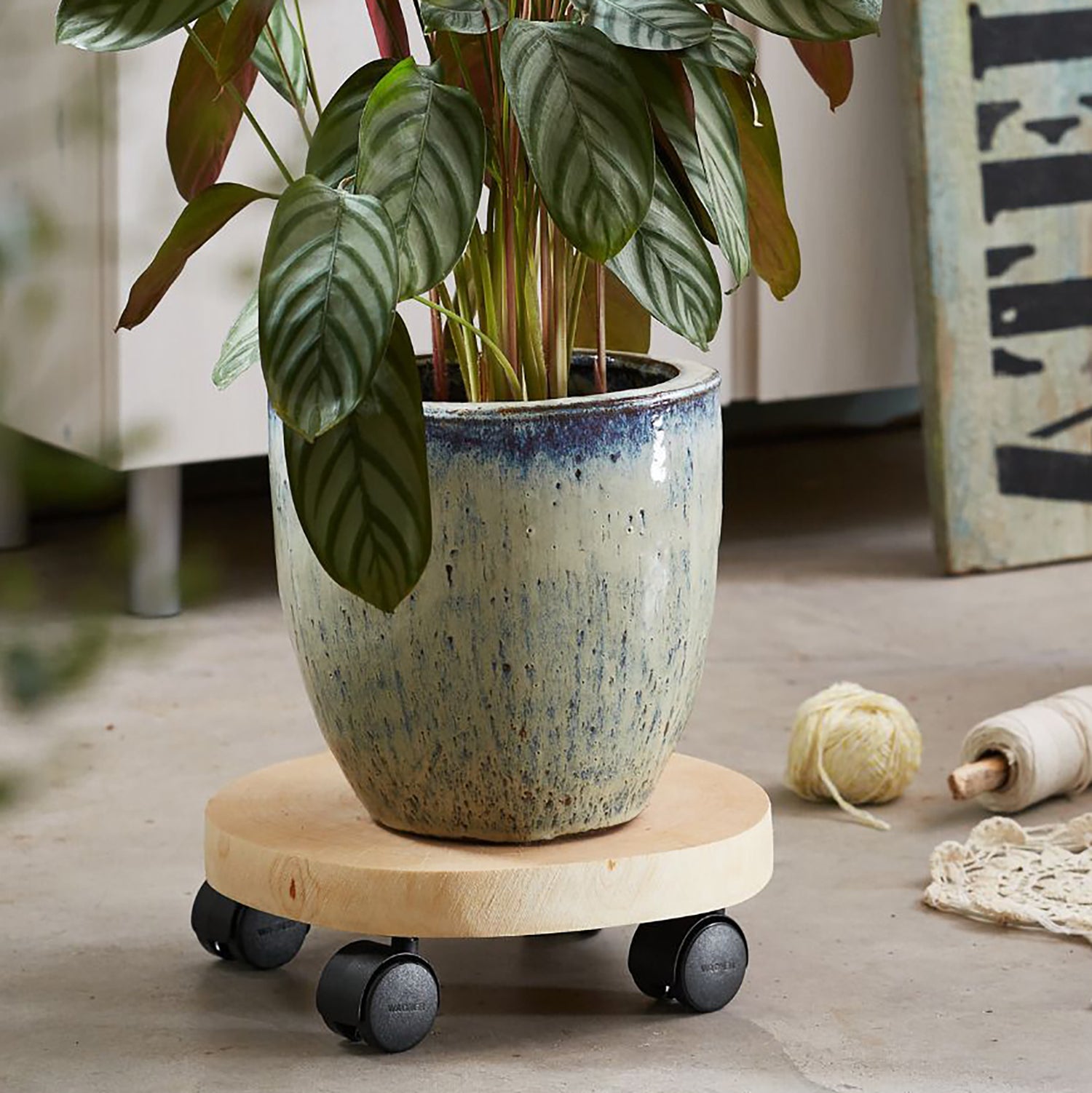 10" Natural Birch Round Wooden Plant Caddy