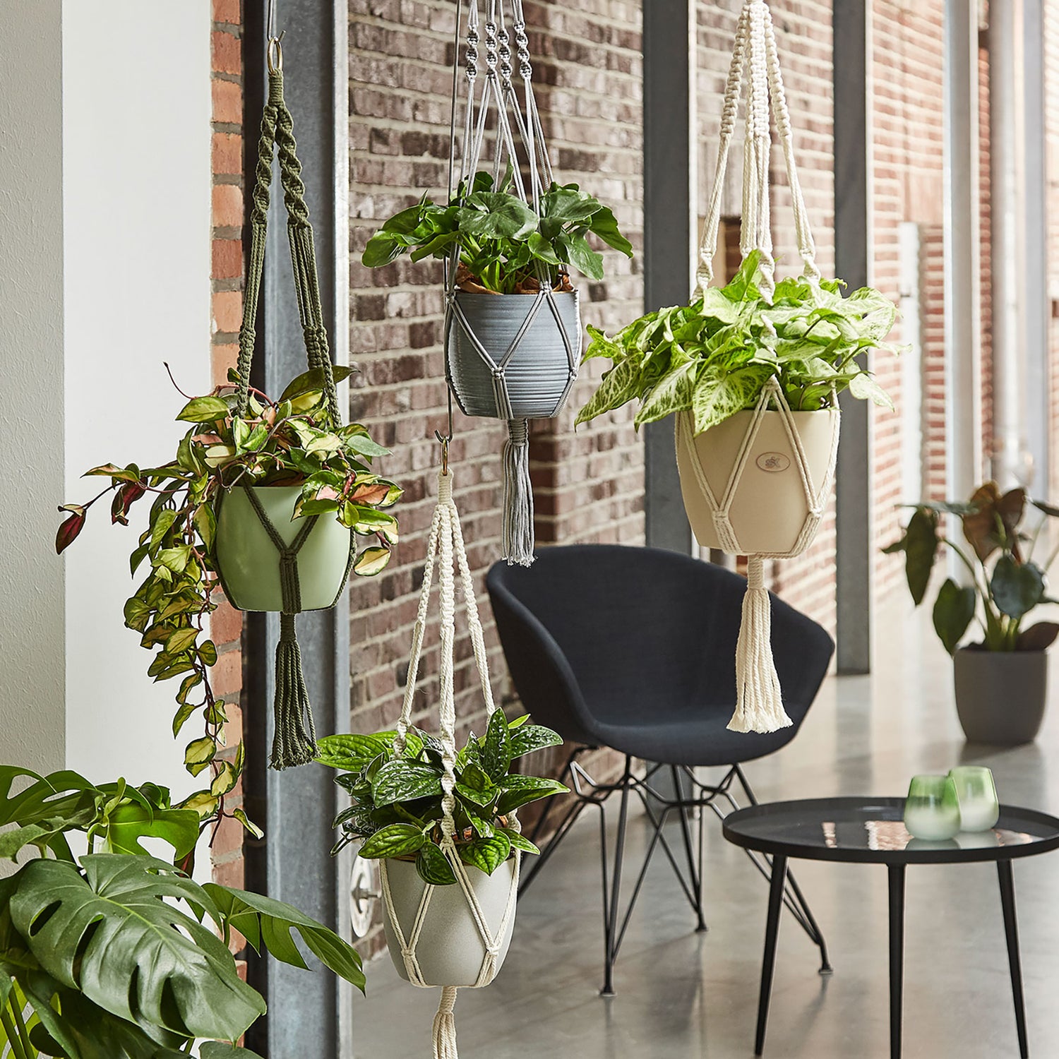 35" Shiny Gray Macrame Hanger