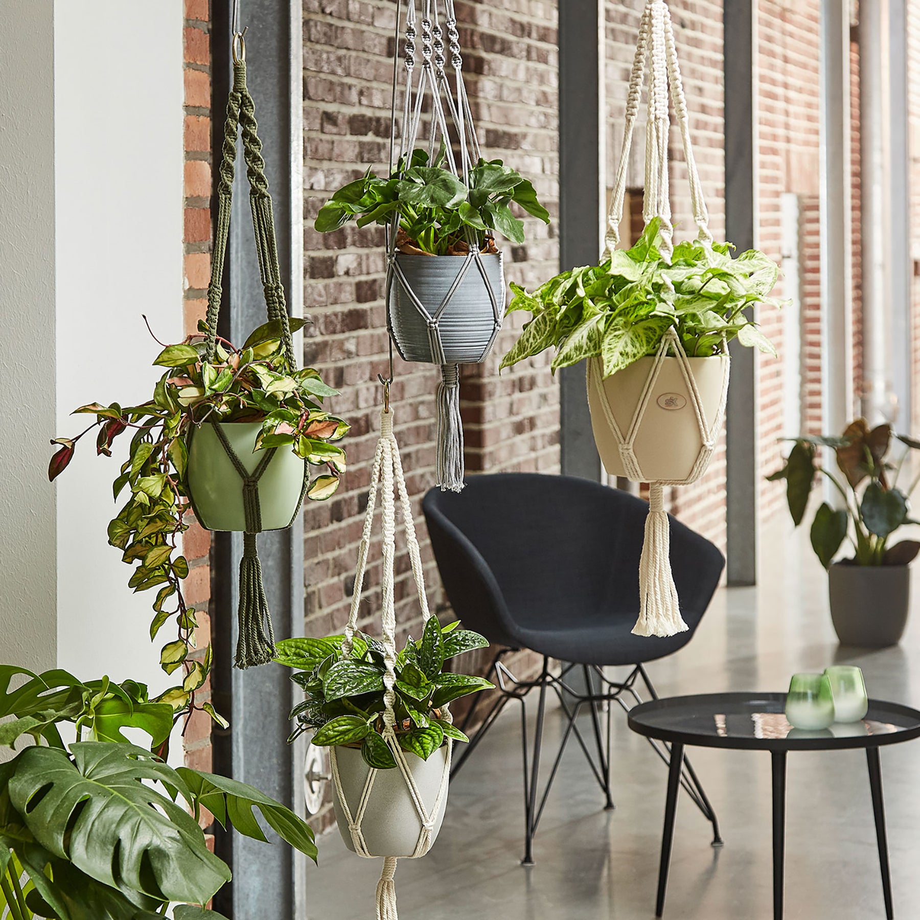 35" Shiny Gray Macrame Hanger