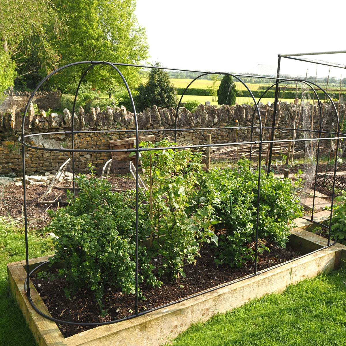 Long Fruit Cage