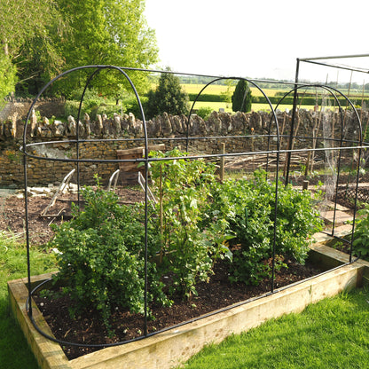 Long Fruit Cage