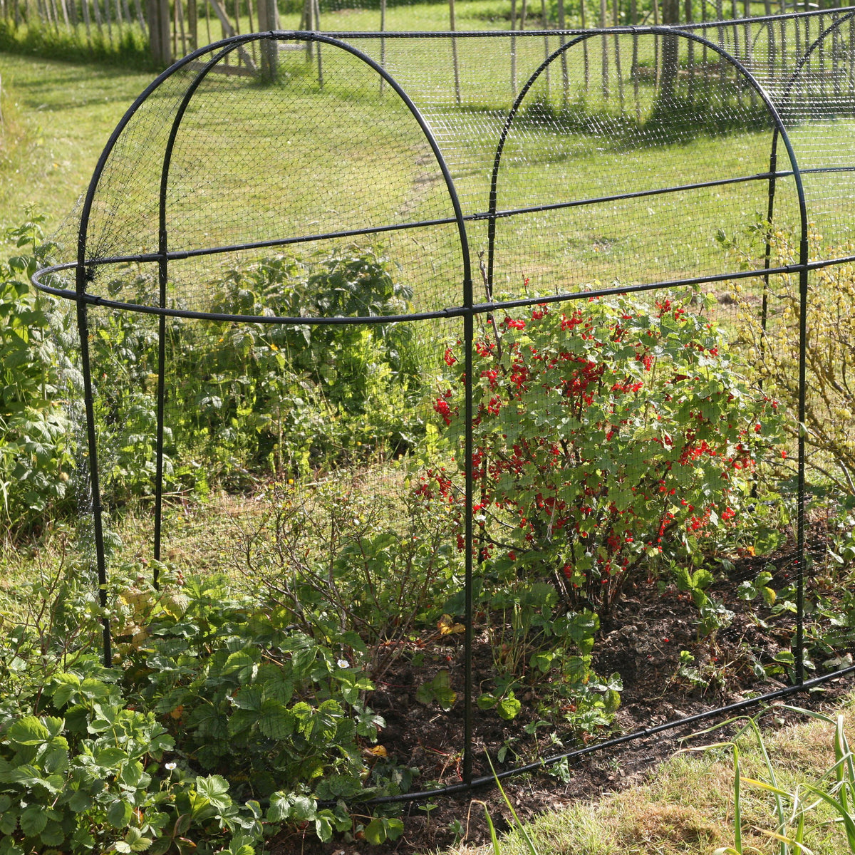 Long Fruit Cage