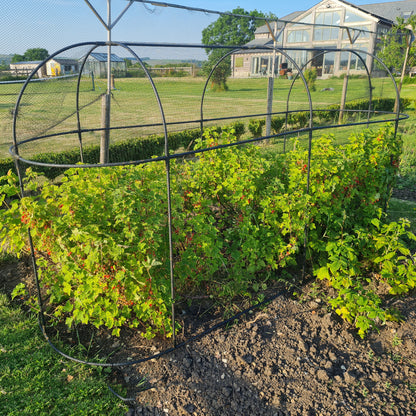 Long Fruit Cage