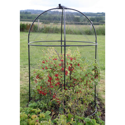 Round Fruit Cage