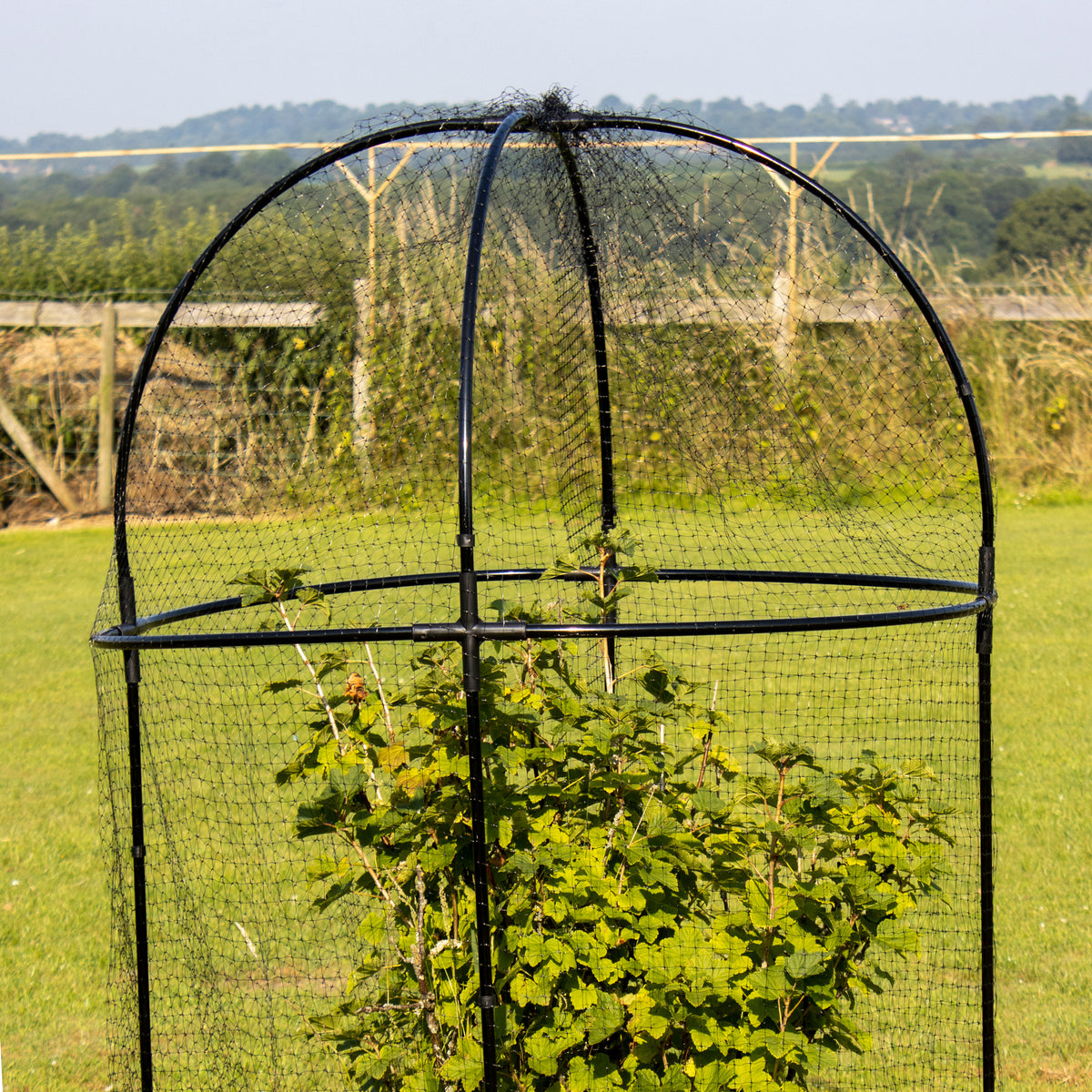 Round Fruit Cage