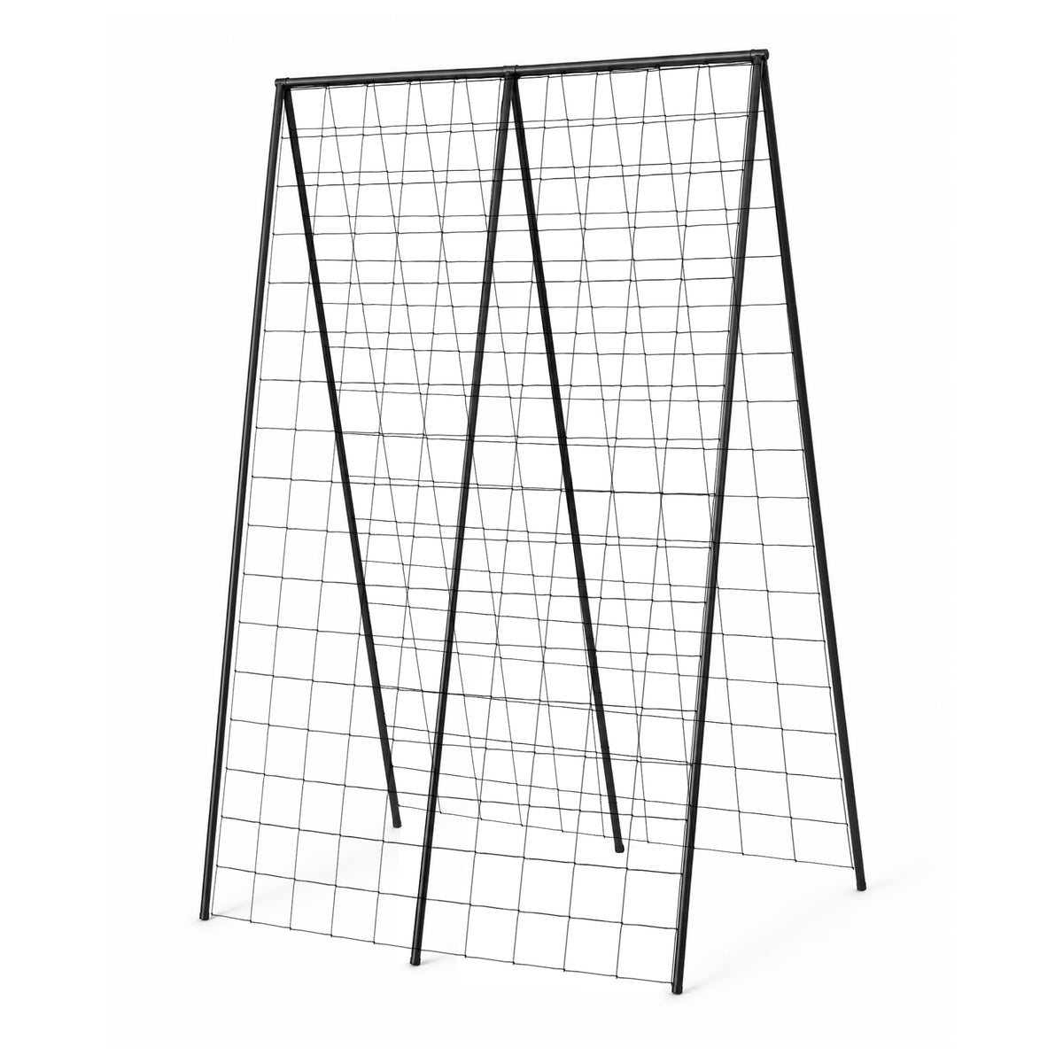 Pea &amp; Bean Steel Frame