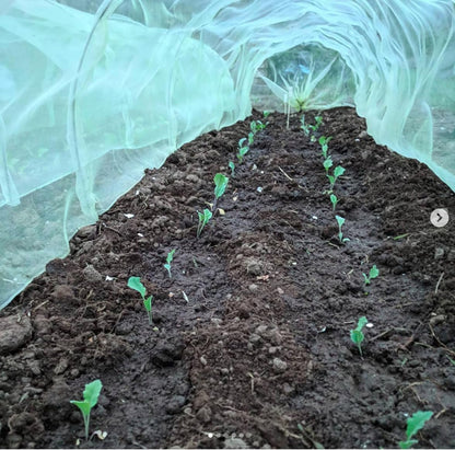 Easy Micromesh Tunnel