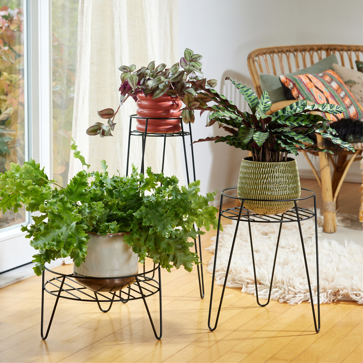Medium Metal Plant Stand