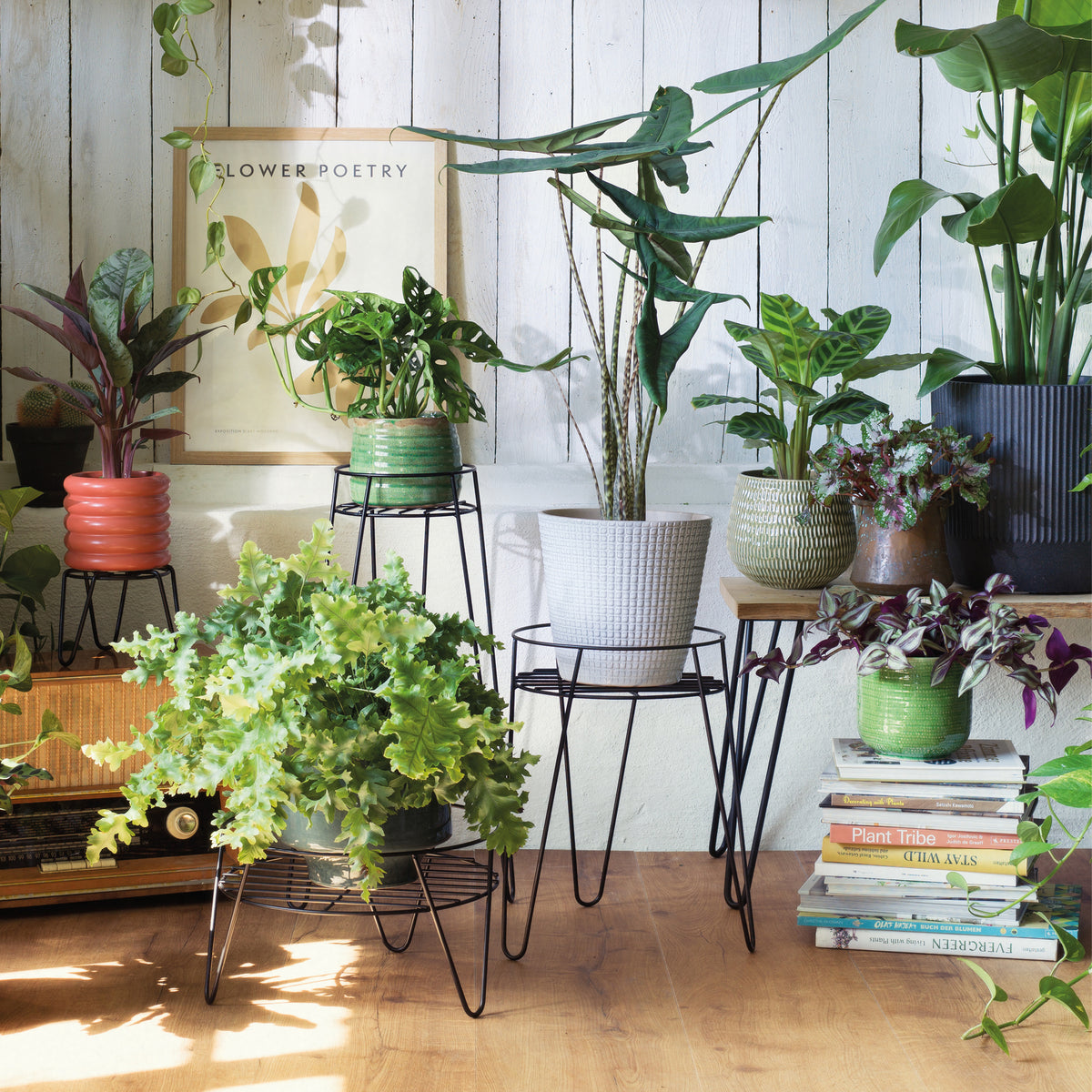 Tall Metal Plant Stand