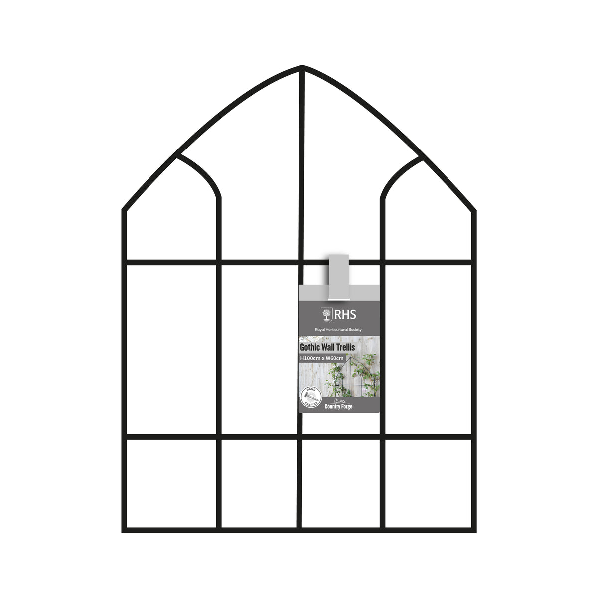 Gothic Wall Trellis RHS