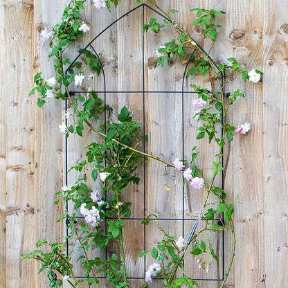 Gothic Wall Trellis RHS