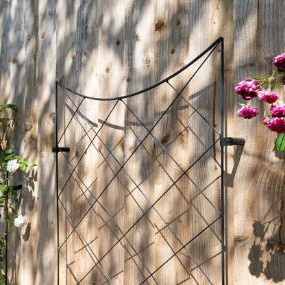 Crescent Wall Trellis RHS
