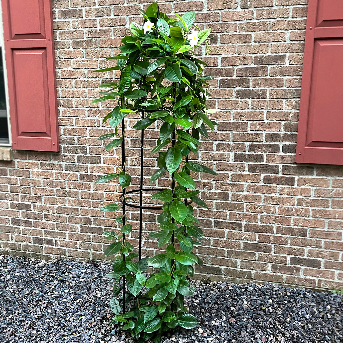 78.5" Obelisk RHS